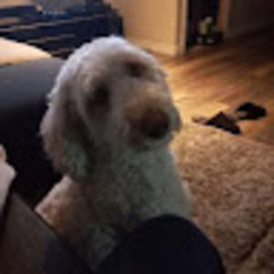 Meet your Posher, Derek